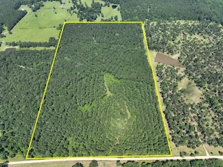 Fodice-2 Road, Pennington, TX 75845