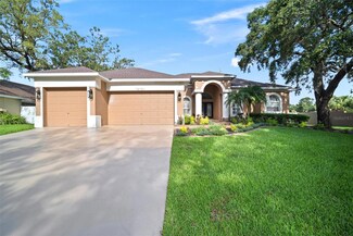 10101 Paddock Oaks Dr, Riverview, FL 33569