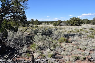 883 S Kenwood St, Williams, AZ 86046