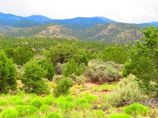 TBD Nm 503, Chimayo, NM 87522