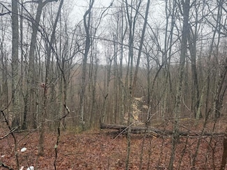 91 Acres Land Cains Creek Rd, Sandy Hook, KY 41171