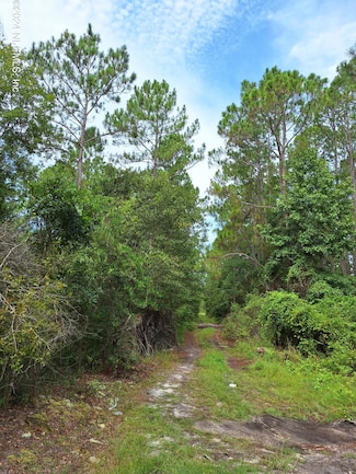 0 E Saint Johns St, Palatka, FL 32177