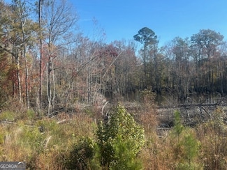 (TRACT 7) Jd Williams Rd, Cadwell, GA 31009