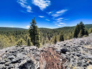 0 Whitetail Ln, Beatty, OR 97621