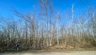 1868 Mockingbird Ln, Otsego Lake Township, MI 49735