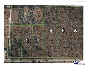 TBD Dudley, Latta, SC 29565