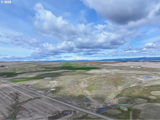 373 Finn Ridge Rd, Centerville, WA 98613