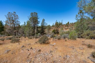12141 Newtown Rd, Nevada City, CA 95959