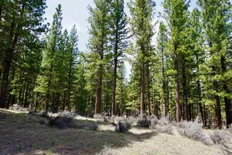 77 Cody Dr, Clio, CA 96106