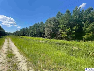 000 Millpond Ln, McColl, SC 29570