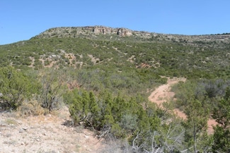 0000 Texas 208, Robert Lee, TX 76949