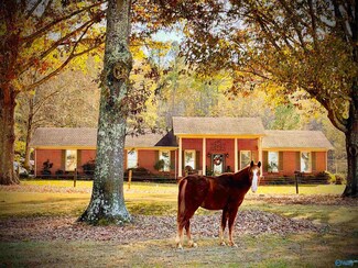 2701 Red Bank Rd SE, Decatur, AL 35603