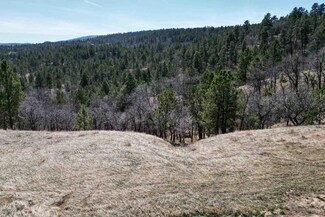 Lot 17 Oak Dr Unit Lot 17 WildFlower Es, Whitewood, SD 57793