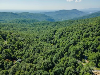 99999 Gateway Pkwy Unit 761, Old Fort, NC 28762