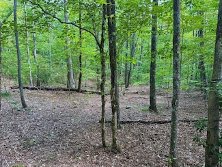 LOT 57 Asheland Cove Dr, Young Harris, GA 30582