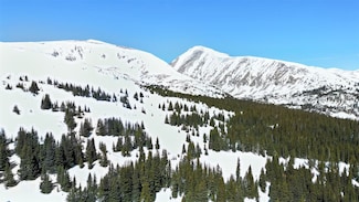 23 Camron Ln, Breckenridge, CO 80424