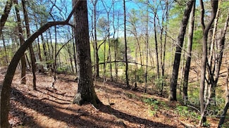 0 Boyd Moore Ave Unit CAR3848175, Morganton, NC 28655
