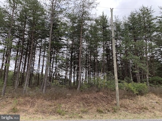 0 Butternut Dr, Yellow Spring, WV 26865
