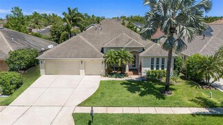 2608 Millhopper Ave, Wesley Chapel, FL 33544