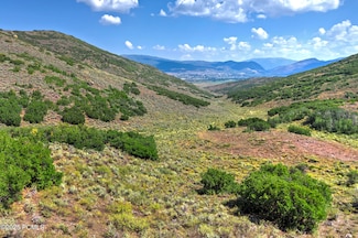 1646 N Miles Hollow Rd Unit 29, Kamas, UT 84036