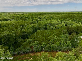 Tract 4 Baltimore Rd, Warrenton, NC 27589