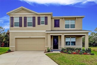 33351 Apricot Tree Ct, Wesley Chapel, FL 33543