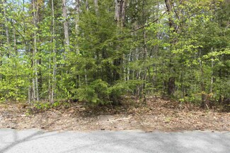 13 Lattie Ln, Ossipee, NH 03814