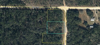 Lot 119 Cinnamon Dr, Marianna, FL 32448