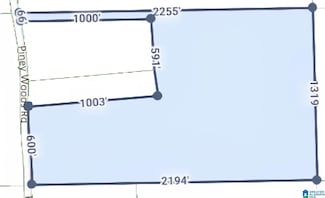 0 Piney Woods Rd Unit 21432863, Vincent, AL 35178