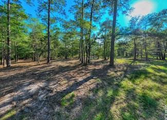 036130 2-2X Landsend Dr, Sam Rayburn, TX 75931