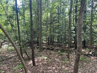 60 Pound Rd, Sanbornton, NH 03269