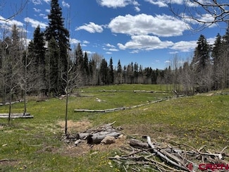 4558 Middle Mountain Rd, Bayfield, CO 81122
