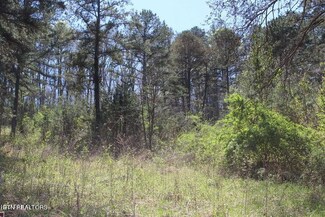 0 Topside Unit 1254186, Jamestown, TN 38556