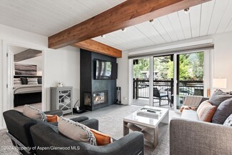 131 E Durant Ave Unit 102, Aspen, CO 81611