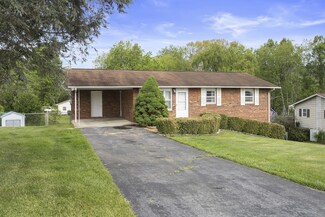 317 Sugartree Rd, Piney Flats, TN 37686