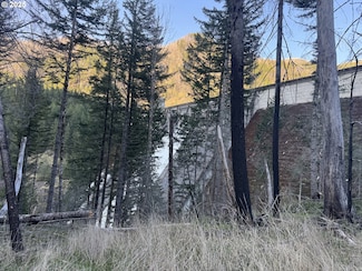 0 National Forest Development Road 2212, Gates, OR 97346