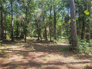 708 Ingraham Place, Dauphin Island, AL 36528
