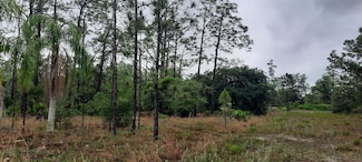 823 Pandora Dr, Indian Lake Estates, FL 33855