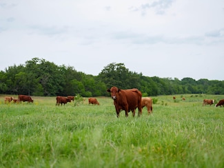 Tbd Walter Hoffman Rd, Cedar Creek, TX 78612