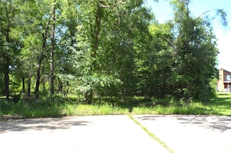 TBD Bending Oaks Ln, Livingston, TX 77351