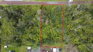 16-2158 Plumeria Dr, Ainaloa, HI 96778