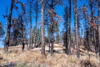 Lot 2 Sunset Dr, Alto, NM 88312