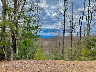Lot 1 Pinnacle Dr, Boomer, NC 28606