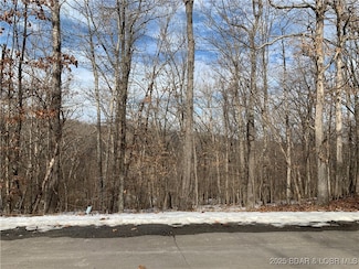39 Bay Hill Ct, Vlg of 4 Ssns, MO 65049