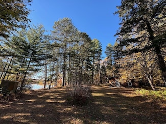 56398 Remington Way, Northome, MN 56661