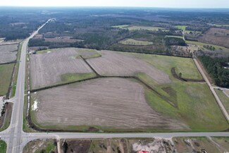 TBD Highway 52 Unit Highway 521, Greeleyville, SC 29056