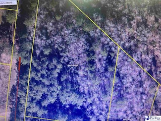 0 Rosebud Dr, Pamplico, SC 29583