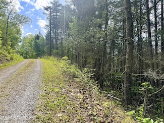 0 Montevallo Rd Unit 1304227, Sevierville, TN 37876