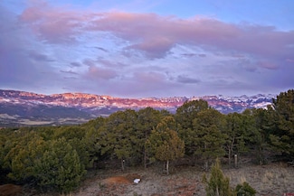 225 Oak Rd, Ridgway, CO 81432