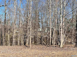 18 Deer Walk Dr, Guntersville, AL 35976